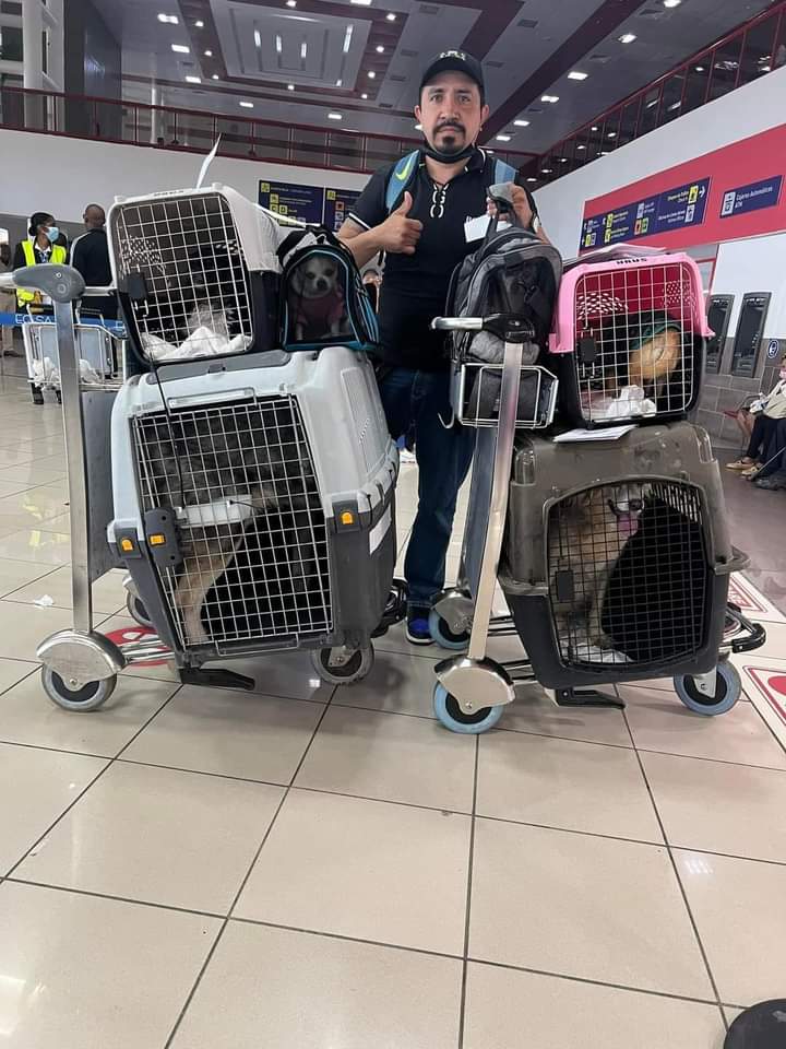 ⚠️ 🇨🇺Si emigraste y nesecitas sacar a tu mascota de cuba pero no sabes como llevar a tu peludo del pais a 🇺🇸 ..te tengo la via mas facil y segura con la 🇨🇺🇲🇽 ✈️Agencia Miranda🇺🇸 Te lo ponemos todooooooo. 💉-Vacunas, Rabia con (certificacion internacional)📄