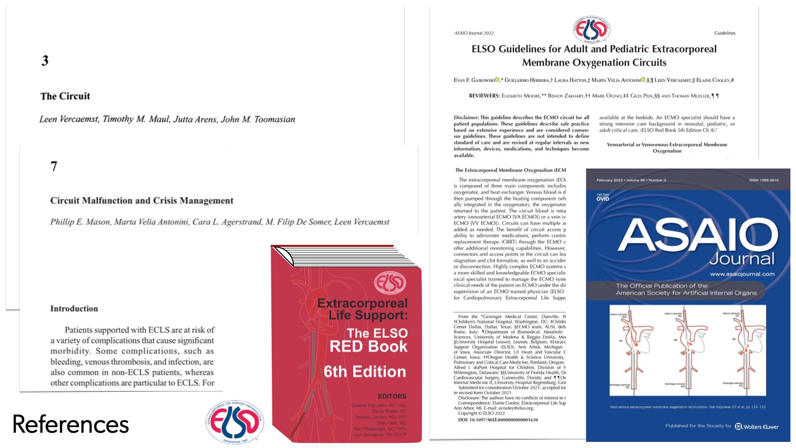 M Velia Antonini on Twitter "ELSOLATAM2022 congress ongoing in Lima 🇵🇪... Just finished my