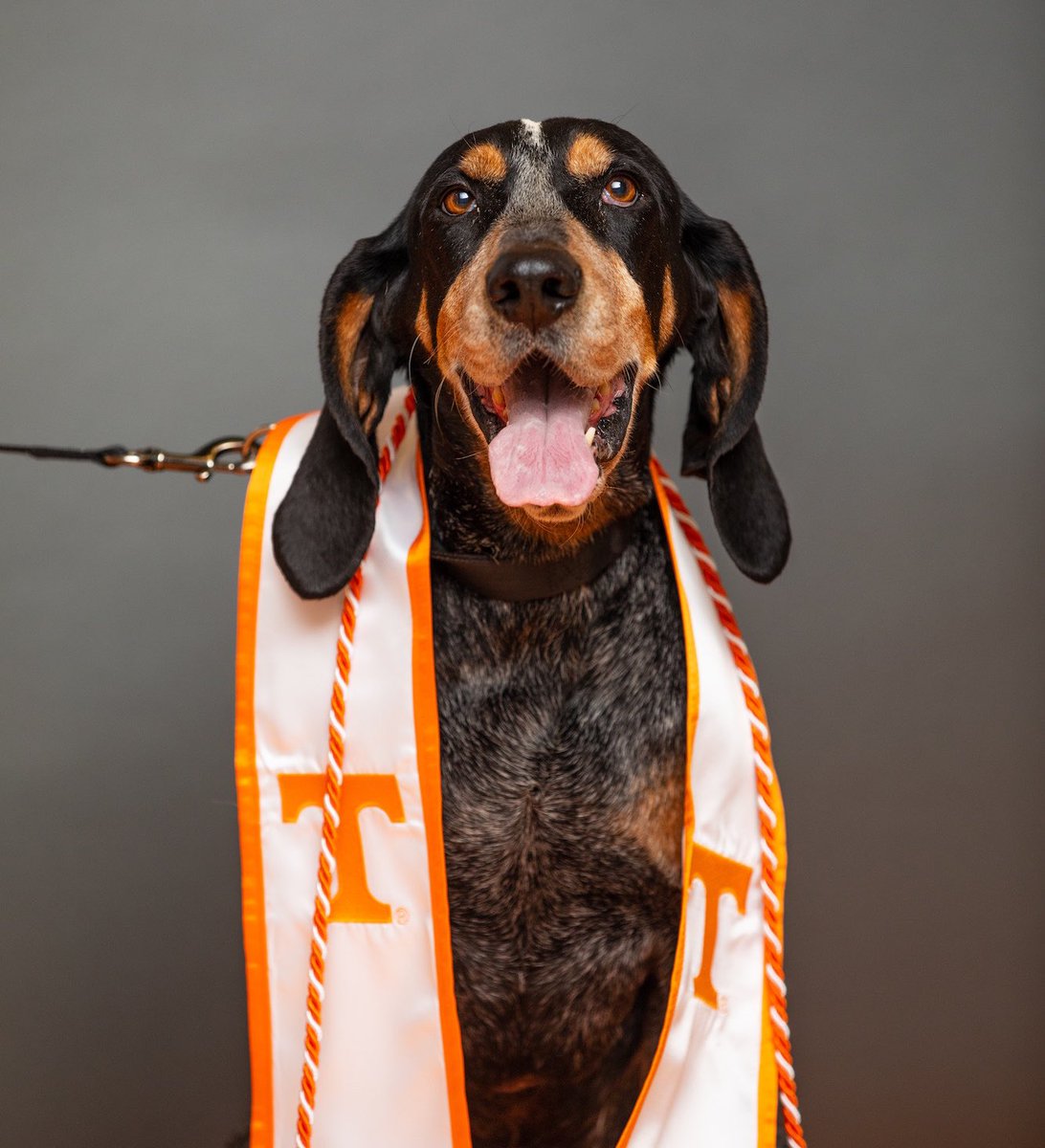 For he’s a jolly good fellow! 🐾

Happy retirement to Smokey X, our loyal best buddy. Cheers to becoming an official #utkalumni! 🍊