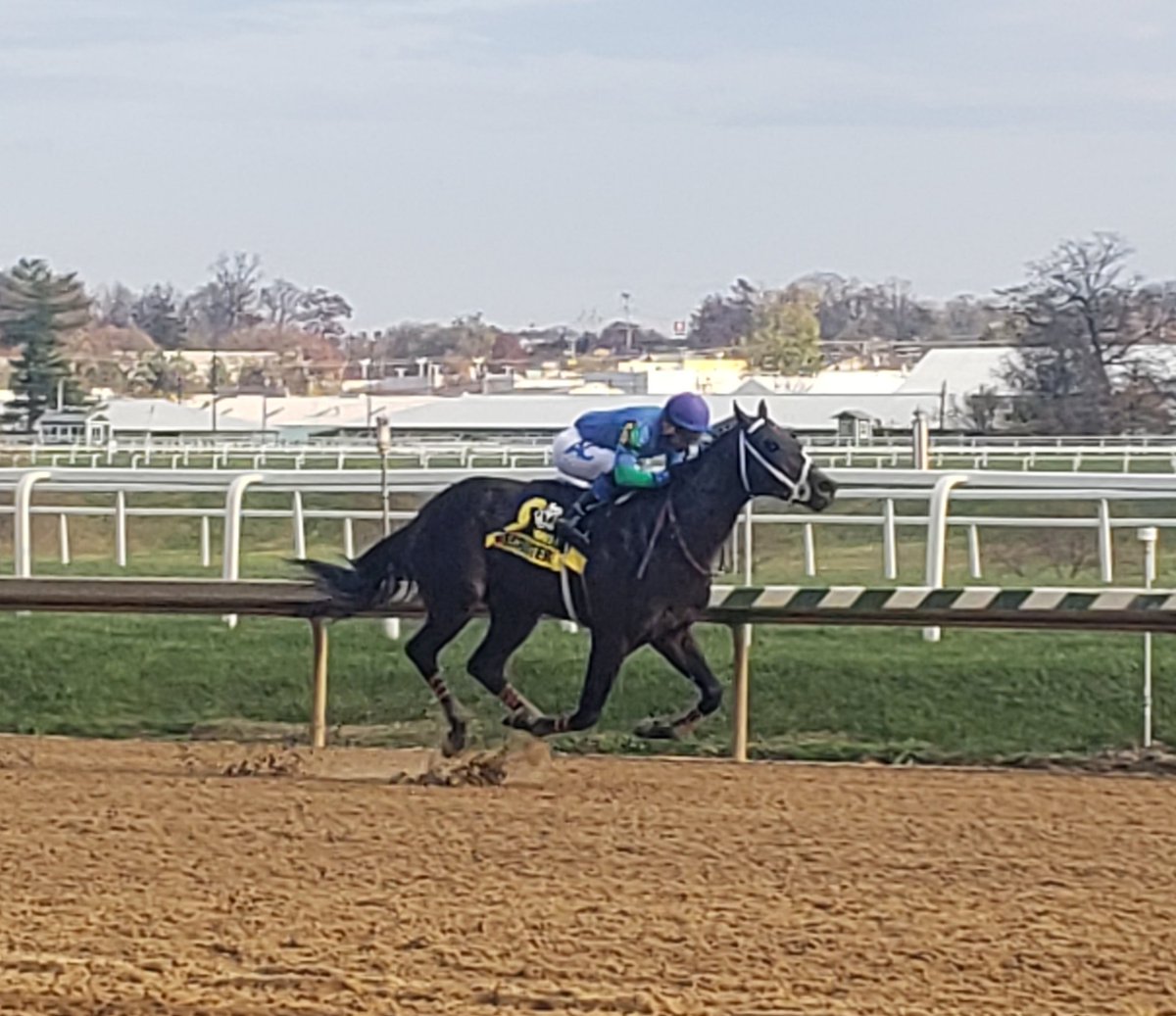 Recruiter continues a big day for <a href="/ACruzz01/">angel.cruzz01</a> with a win in the James Lewis <a href="/LaurelPark/">The Maryland Jockey Club, Inc.</a>
