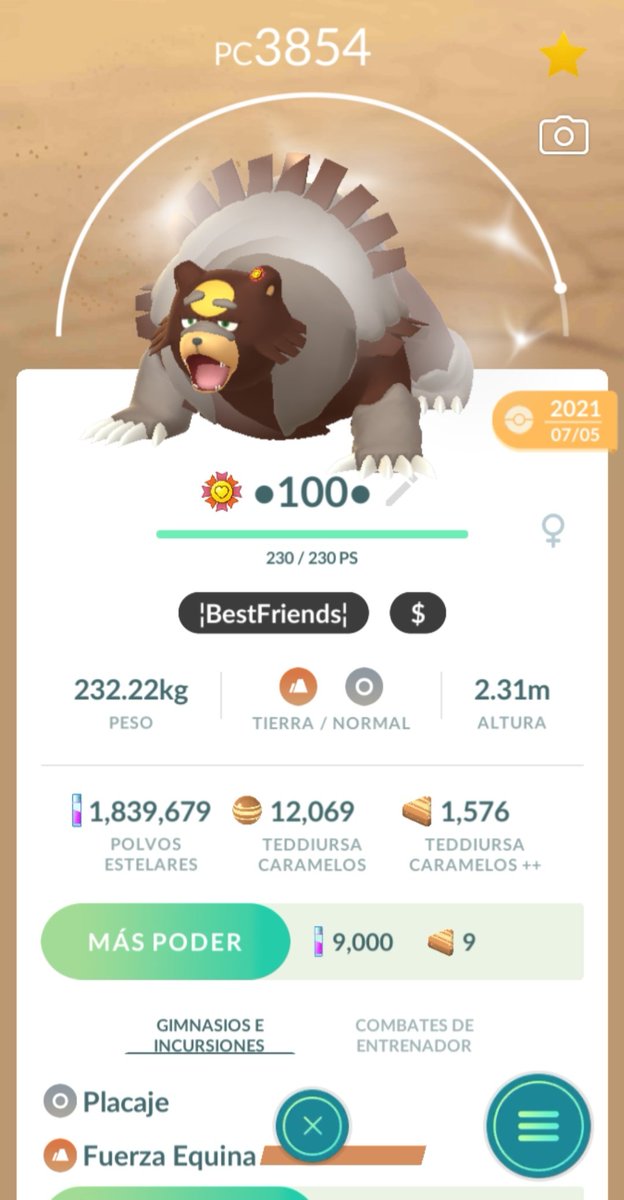 Withpons69's tweet image. Thats all for today 😅 i was very tired after running almost 5 lanes for 100% 🥺😪 i got 49 shiny teddiursa and many XL 🥰🤩 how about your community day? 😁🤔
#Pokemon #PokemonGO #PokemonGOCommunityDay #PokemonGoApp