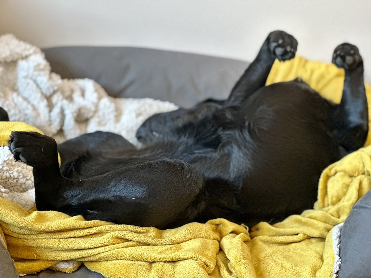 RPChic's tweet photo. This morning was a busy one. She has been in this position for a while now https://t.co/W7BHKyyoKi