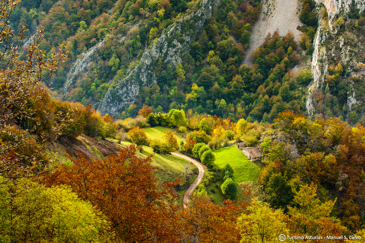 TurismoAsturias's tweet photo. Según un estudio de la Universidad de Castilla-La Mancha, los asturianos son los españoles más felices. ¿Será por qué vivimos en el paraíso?
📍 Parque Natural de Redes https://t.co/Z5U4ZCHStu