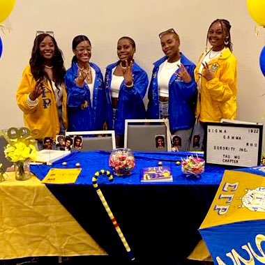 Pretty Poodles of Tau Mu 👑 tweet media