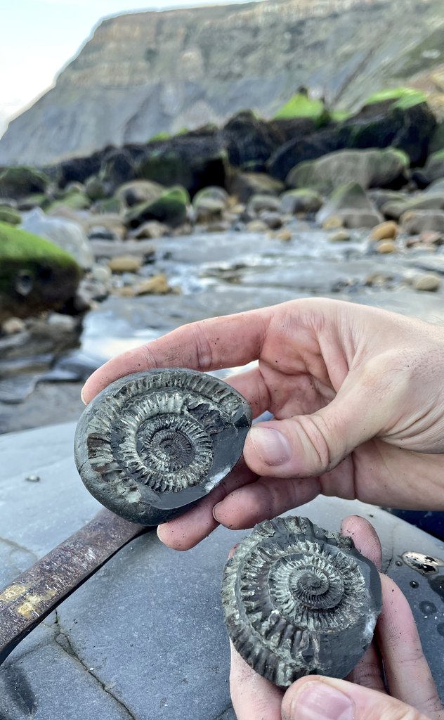 Dr Dean Lomax tweet media