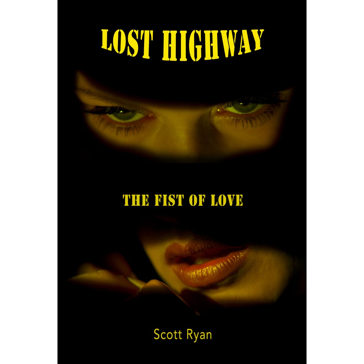Scott Ryan's Lost Highway book will be released Spring 2023. The book is done, just waiting on the Bill Pullman interview to happen. The book is now up for Preorder. Like with FWWM, this will be a color book on the first print run. #davidlynch Preorder: tuckerdspress.com/product-page/l…