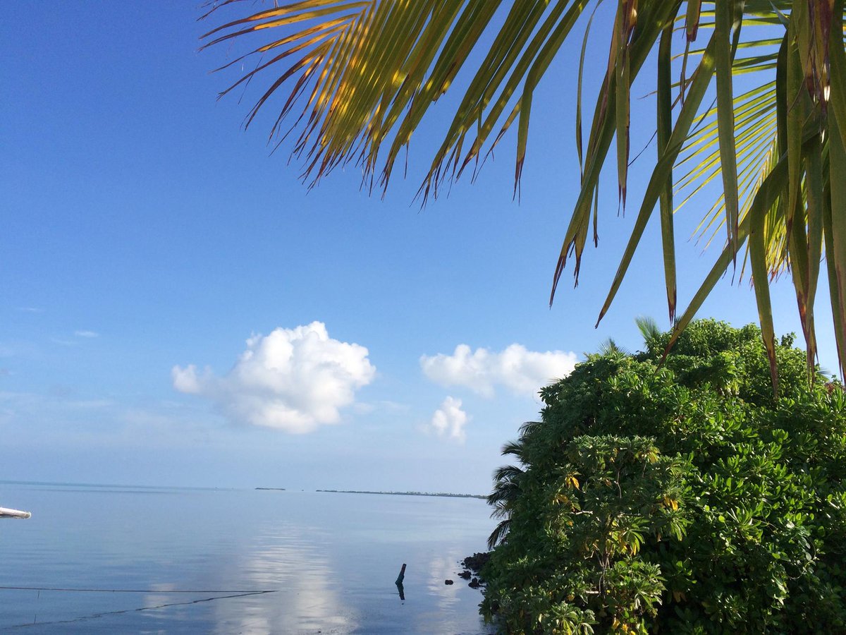 malamathi_mv's tweet photo. Relax in #Maldives #travel #nature #travelphotography #photography 
#photooftheday #travelgram #Islands #Atolls #explore https://t.co/FDdAOBiFId