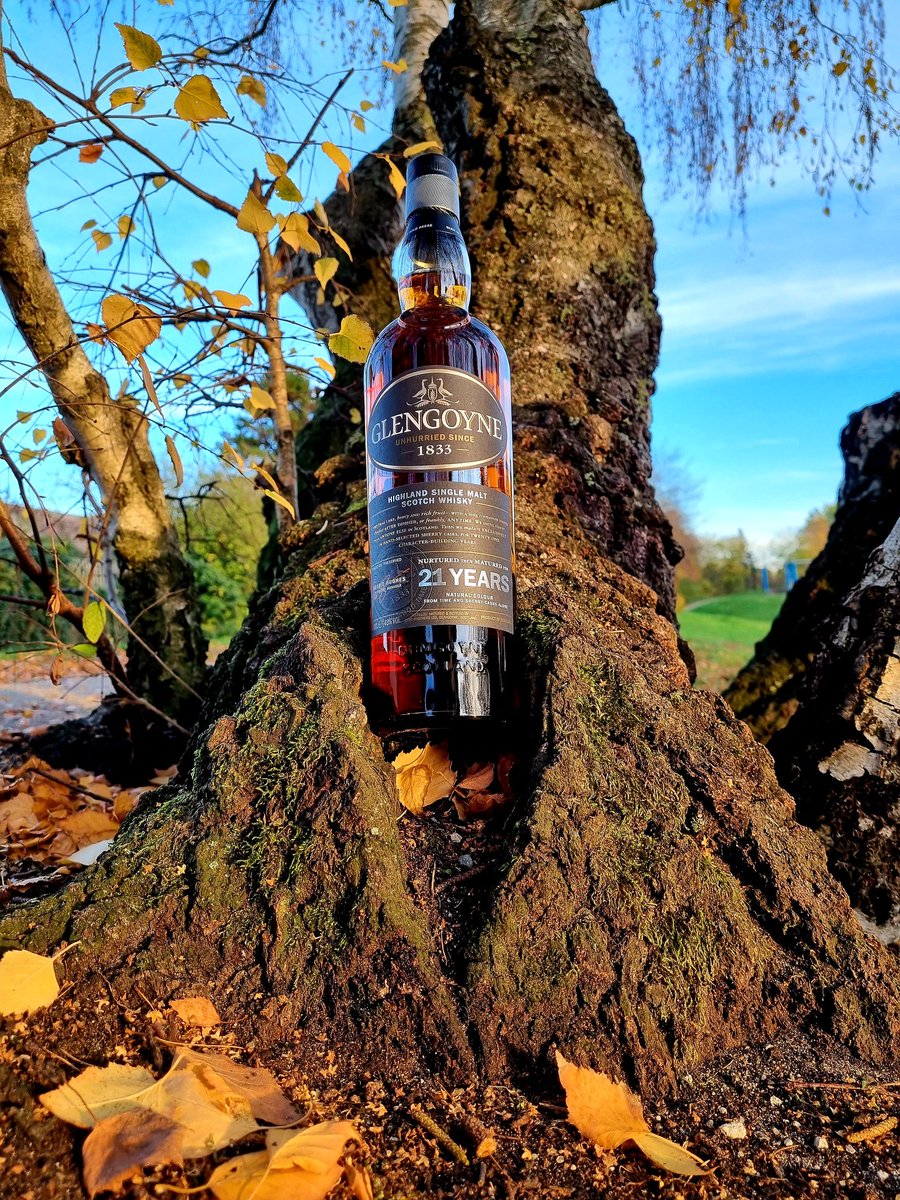 King of sherry 💣 😋🥃

<a href="/Glengoyne/">Glengoyne</a> #whisky #scotch #singlemalt #glengoyne