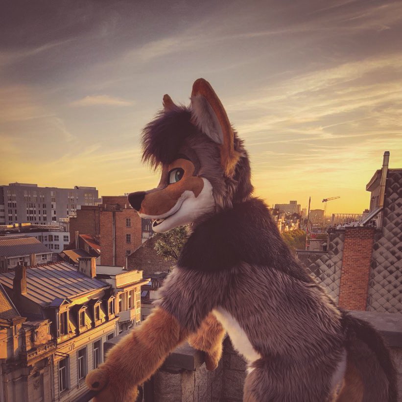 Luciensheppy's tweet photo. This is the last day of #fluufffcon for me, let’s close it off with a nice fursuit photo with the Brussels skyline.
✂️: @CritterWorkshop 
📸: @JackyTheRat https://t.co/OX33VgDPuR