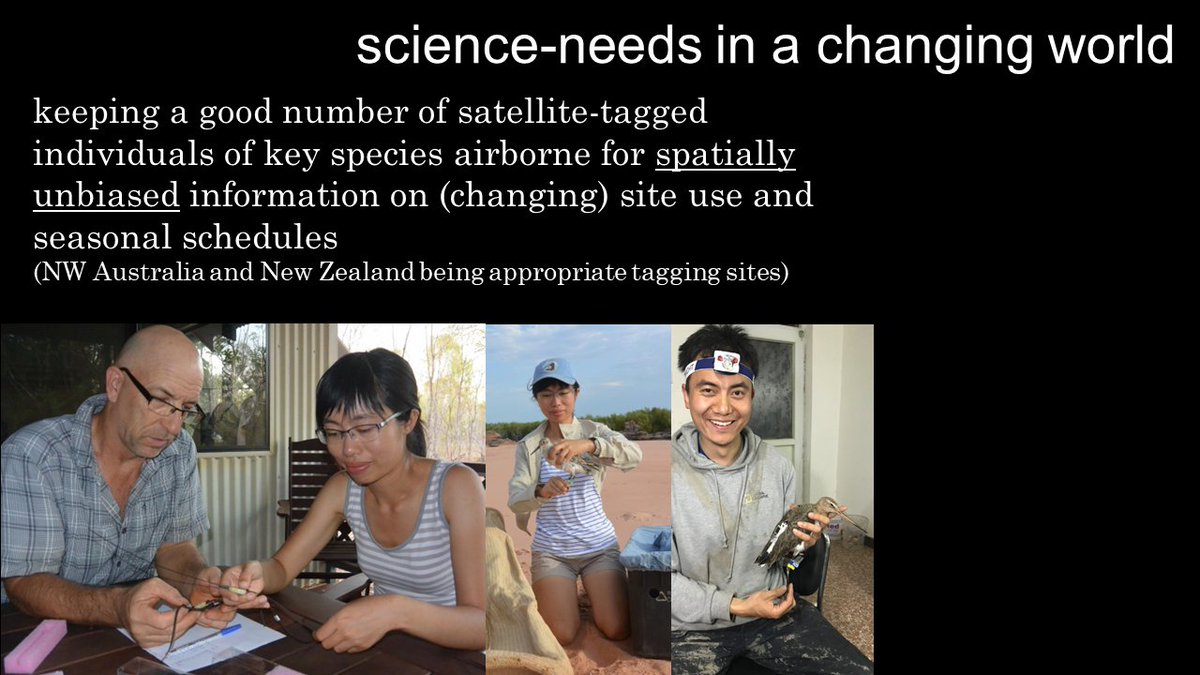 It will be interesting to find out what the envisaged roles of Young Committed Researchers working together under e.g. <a href="/GlobalFlyway/">Global Flyway Network</a> umbrella will be?! 
We need to ensure the ground-truthing of all conservation effort in a fast-changing world! 
#tracking #shorebirds <a href="/BirdLife_CEO/">Interim BirdLife CEO; please see @martinBirdLife</a>