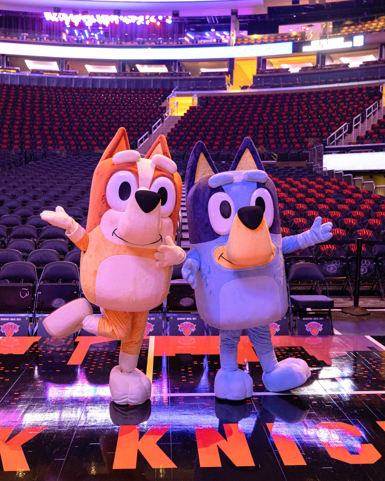 Hulu Theater at MSG on Twitter "Bluey and Bingo the Ballers! 🏀 Catch
