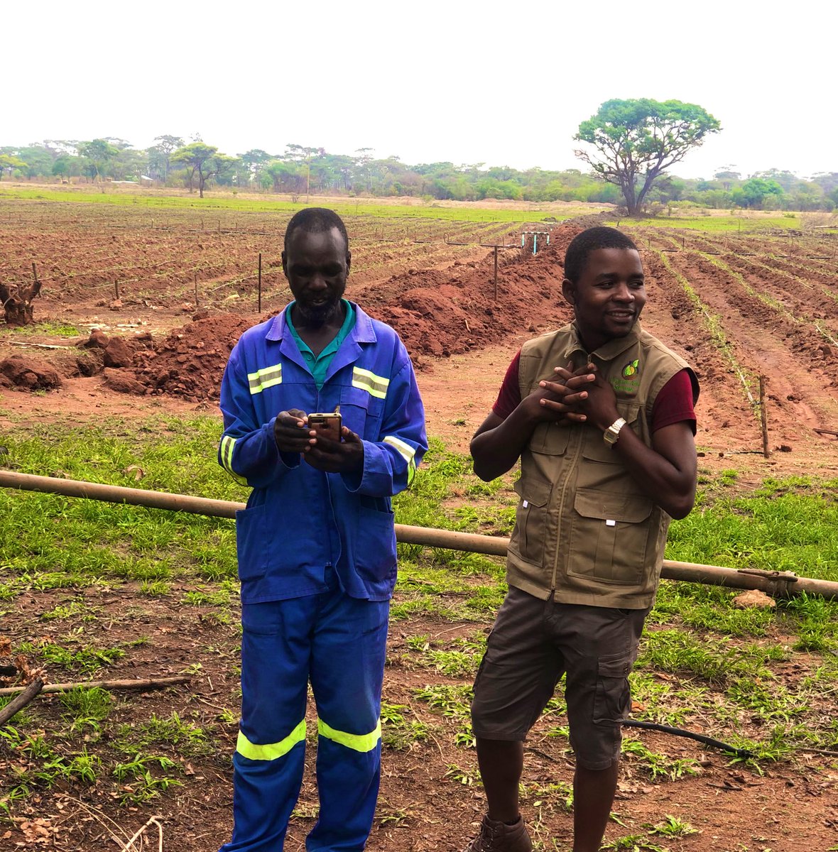 Ultimate Agro Solutions tweet media