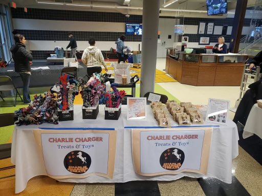 Craft Fair table up and ready for customers! Treat your favorite pup to your choice of apple blueberry, pumpkin, or banana treats along with a homemade dog toy (available in 3 sizes)! 🐶🦴