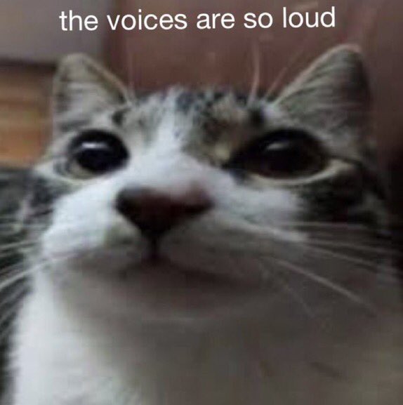 Peenor. Poosy. Bobs.