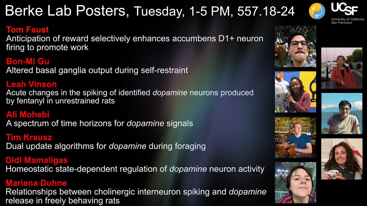 BerkeLab (@berke_lab) on Twitter photo Stop by our posters on Tuesday afternoon and talk (dopamine) to <a href="/FaustTW/">Tom Faust</a> <a href="/BonmiG/">Bonmi Gu</a> <a href="/LeahVinson15/">Leah Vinson</a> <a href="/mohebial/">Ali Mohebi</a> <a href="/TimAmosK/">Tim Krausz</a> @didiaam @ MarianaDuhne Stop by our posters on Tuesday afternoon and talk (dopamine) to <a href="/FaustTW/">Tom Faust</a> <a href="/BonmiG/">Bonmi Gu</a> <a href="/LeahVinson15/">Leah Vinson</a> <a href="/mohebial/">Ali Mohebi</a> <a href="/TimAmosK/">Tim Krausz</a> @didiaam @ MarianaDuhne