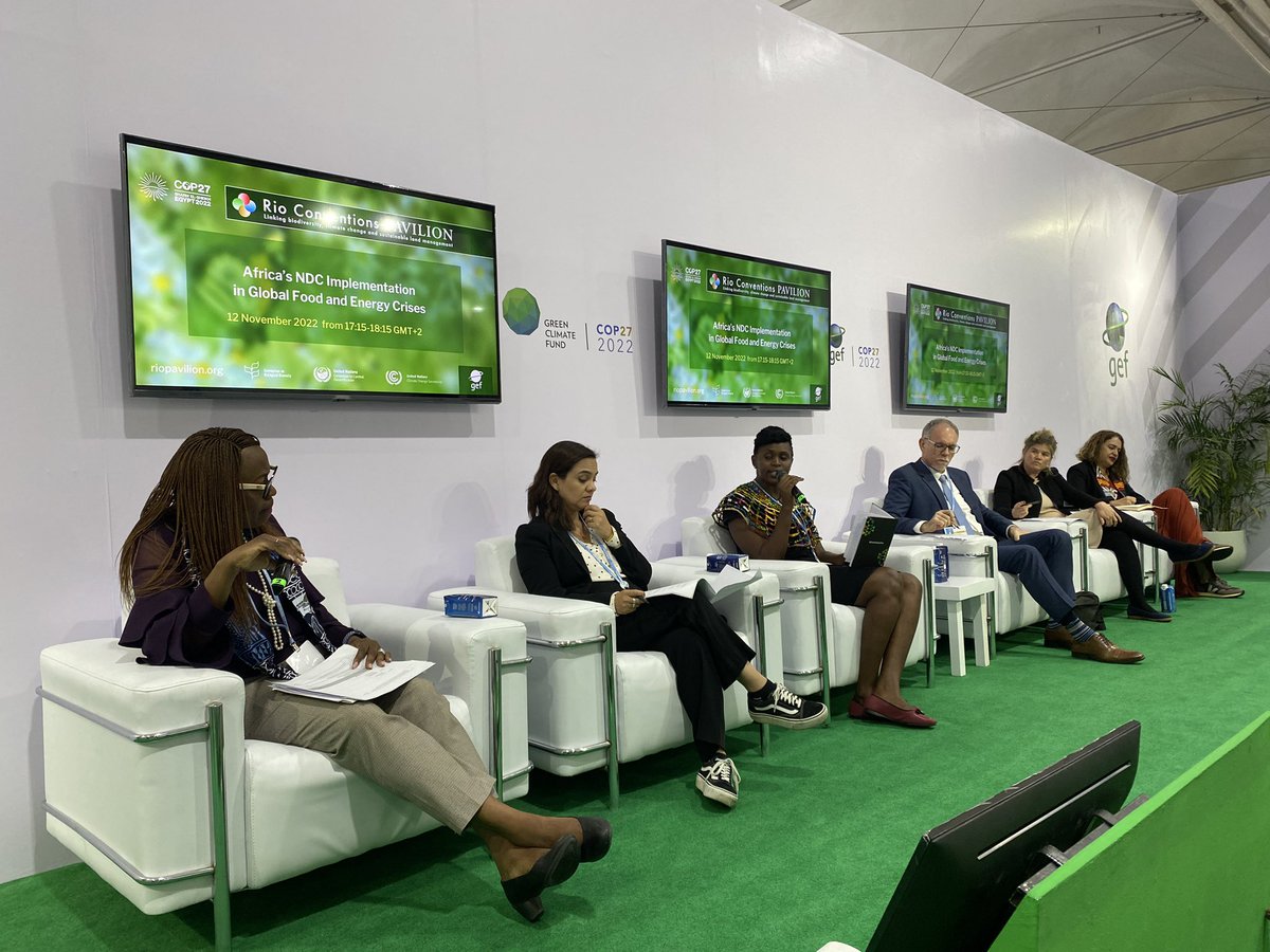 Inspiring discussion on #NDC implementation in #Africa: We need to accelerate mitigation to avert impacts and minimize #adaptation &amp; #LossAndDamage <a href="/FernandaVdeC/">Fernanda Carvalho</a> <a href="/climateWWF/">WWF Climate & Energy</a>