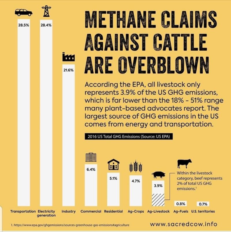 Some interesting facts here backed by research, tks for sharing @piercristiano, we need to start looking at the scientific evidence. Why are India (currently 23% of global milk) able to classify methane emissions as a renewable energy source &amp; double milk production in 5 years?