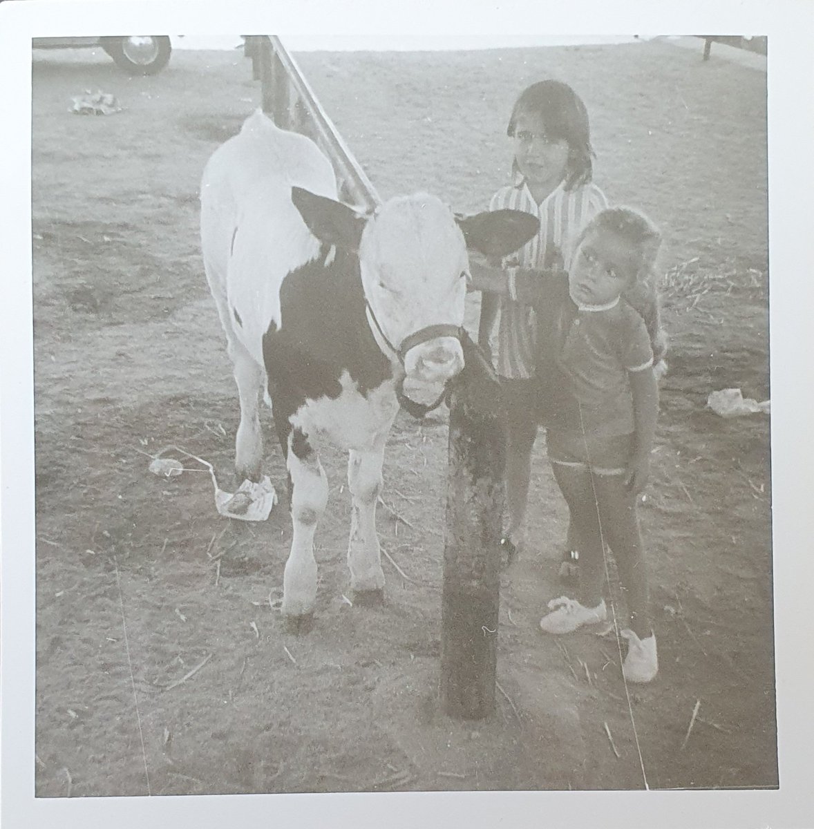 #Attractivité #élevage
Si tous les enfants avaient la chance de voir et toucher des animaux de ferme, cela contribuerait sûrement, par des rappels réguliers au cours de leur scolarité, à faire naître des vocations.
J'avais 3 ans et je n'ai jamais quitté le secteur de l'élevage 😊