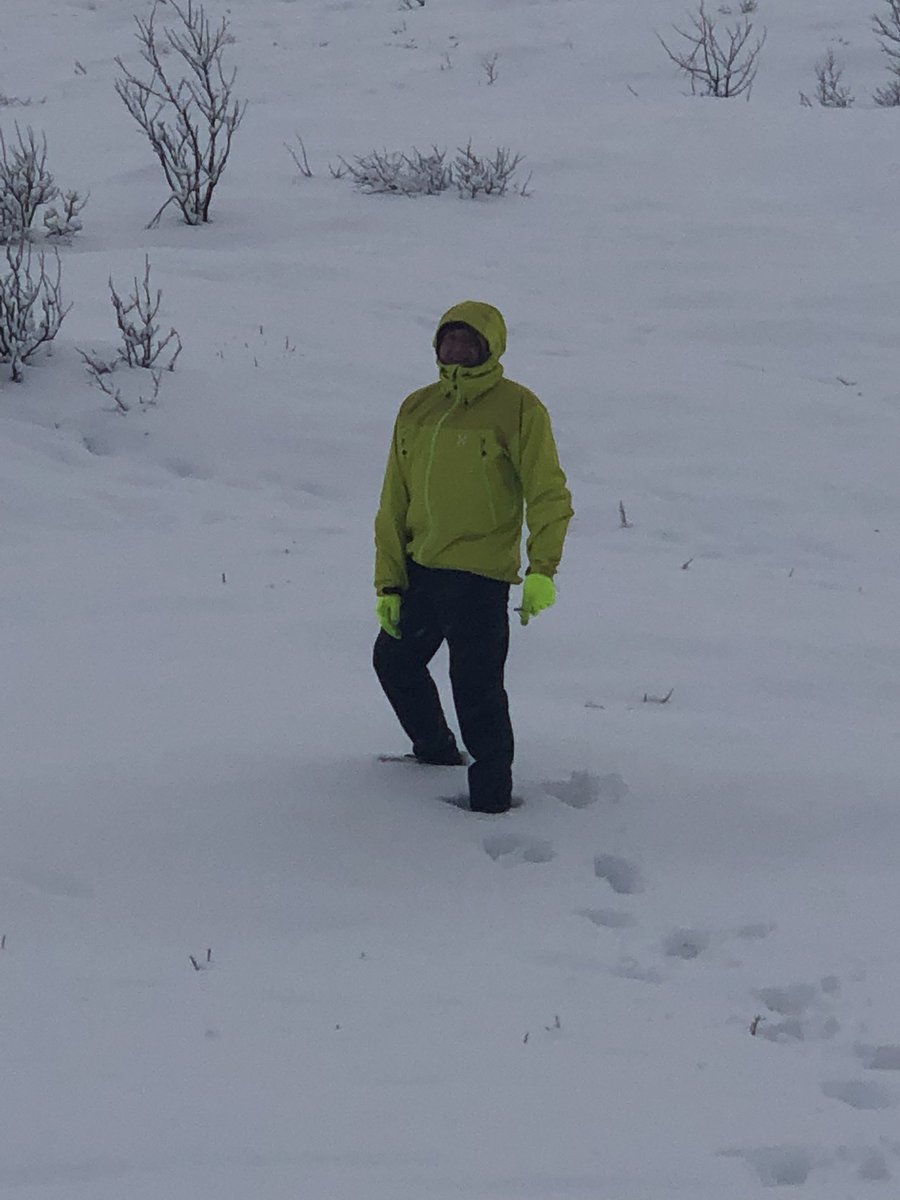 George Lee tweet media