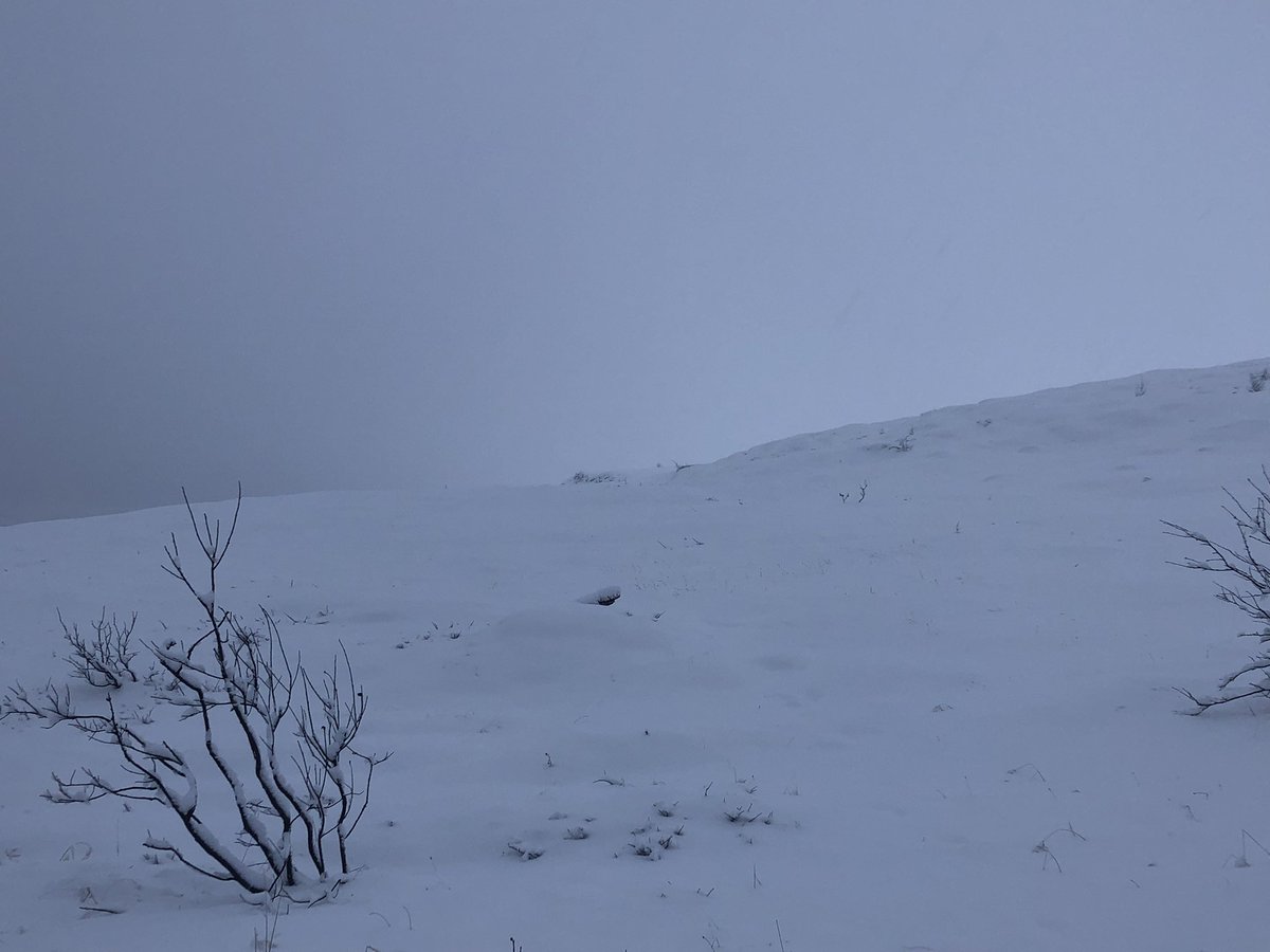 George Lee tweet media