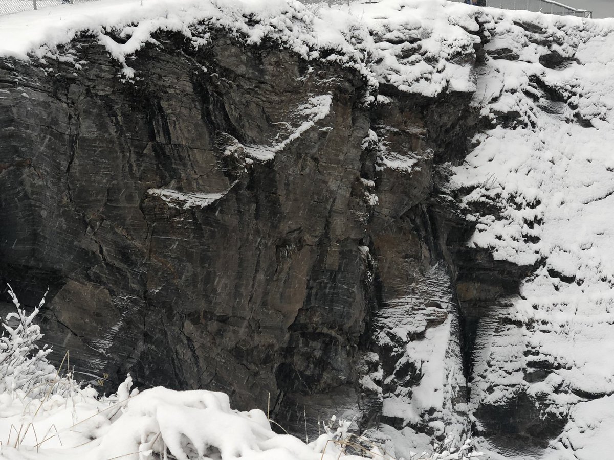 George Lee tweet media