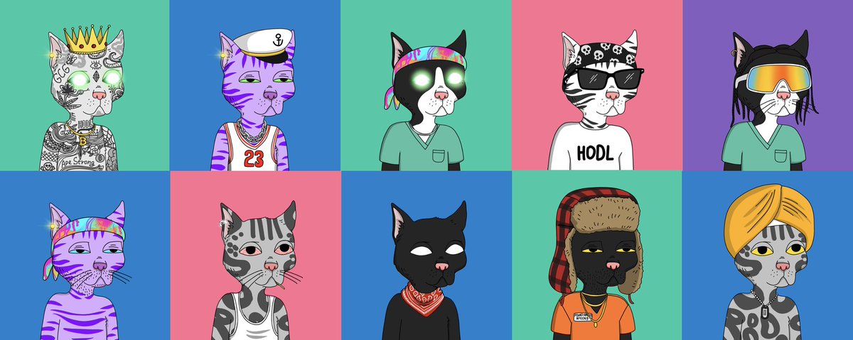 wakeringer's tweet photo. Happy Caturday! D2 Rats are 🔥🔥🔥
but Saturdays are for the Cats! @GutterCatGang #GangGang https://t.co/3SrdbnbuxQ