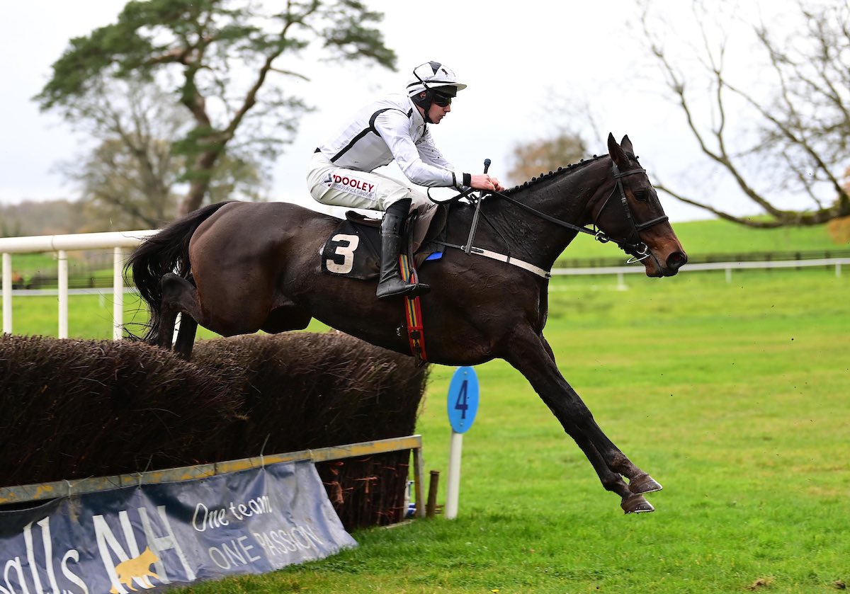 QrIrish's tweet photo. Ah Whisht @thharney winner of the 5yo mares maiden for @rosullivan82 📸 https://t.co/W0H3OddIeZ https://t.co/4o4BaNlbTv