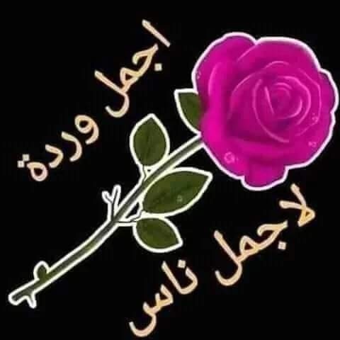 🇸🇾احمد الشرع🇸🇾Ahmed Al-S🇸🇾 tweet media
