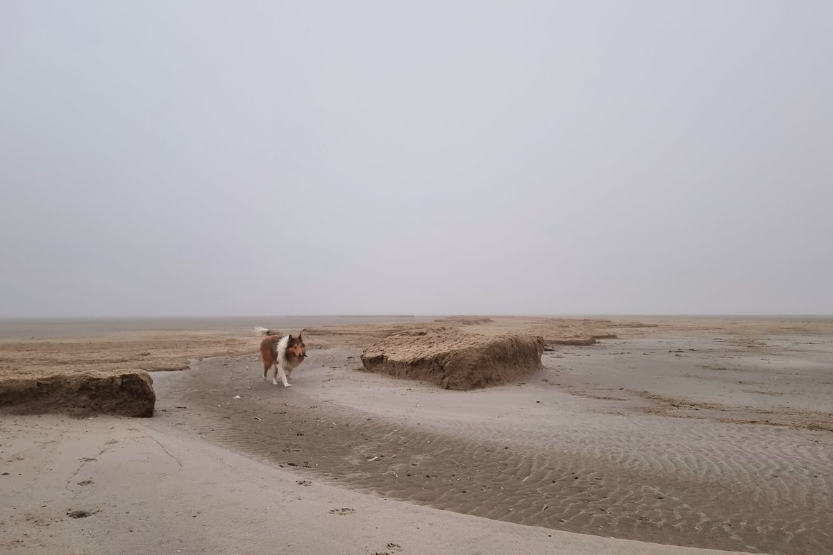 IrmaJeelof's tweet image. Gehoopt op wat zon vandaag, maar het bleef grijs. Op naar zondag!