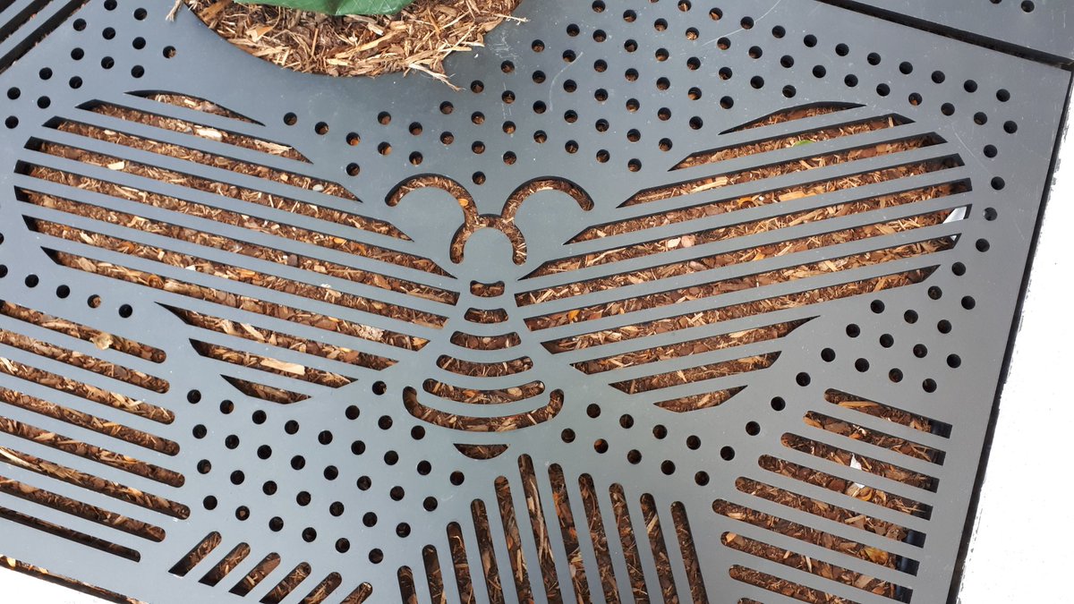 🐝
Spotted in #Waterloo