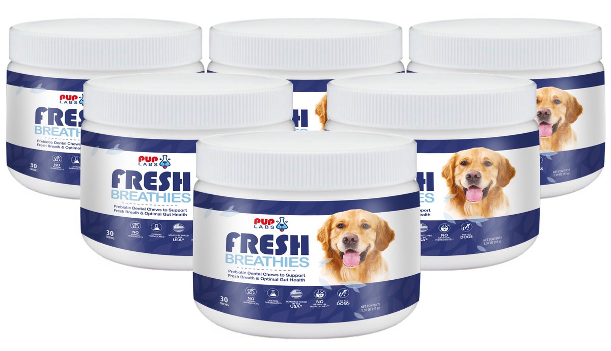 PupCare101ja's tweet photo. Today is all about health at PupCare. We will start from a pivotal aspect of any furry friend's life and that's fresh breath. 

A Thread

1/2 Fresh Breathies is an all natural dental dog chew highly recommended by vets that helps eliminate bad doggy breath https://t.co/t13vaUVnRJ