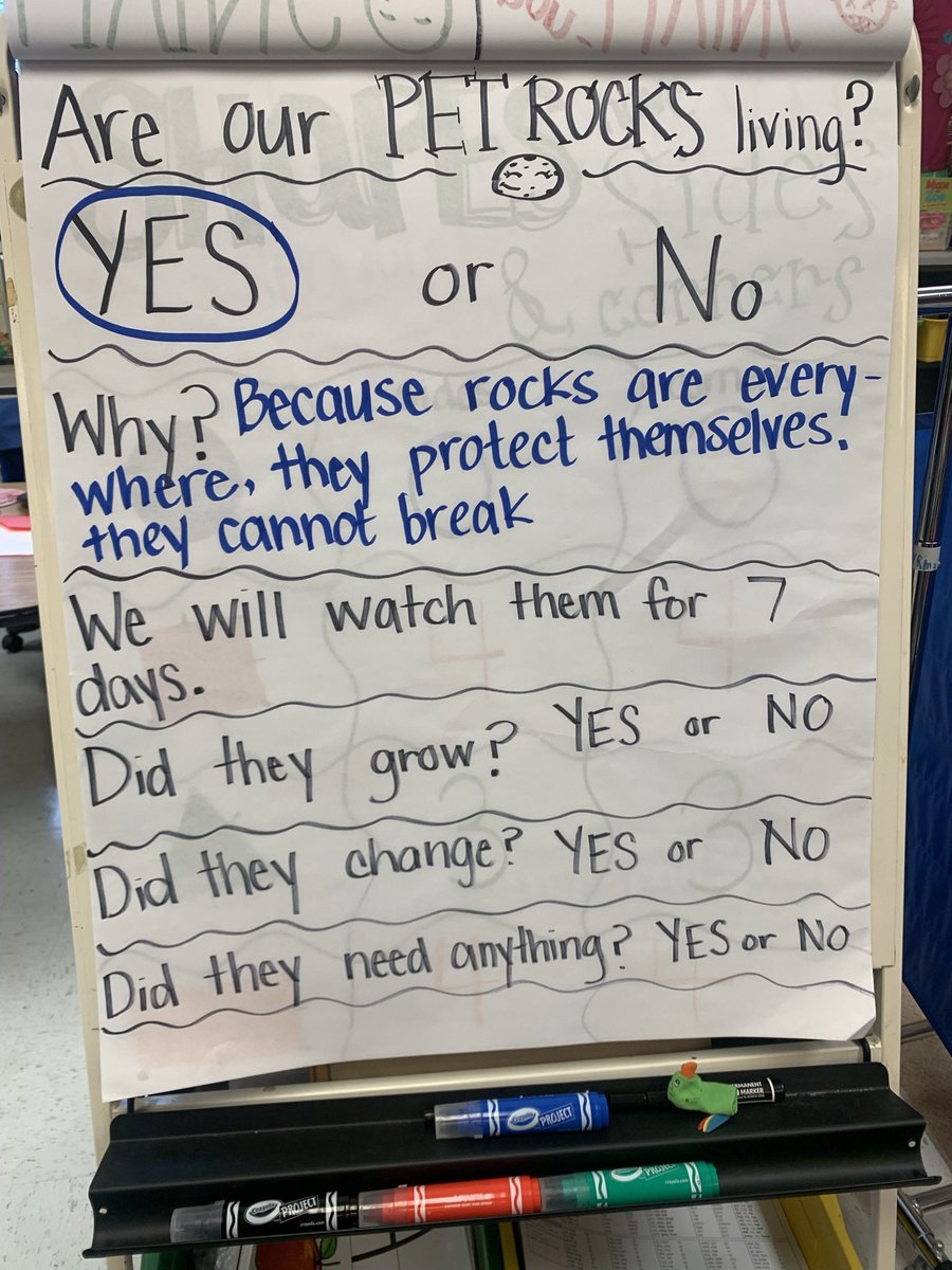 Mrs. Gulley tweet media