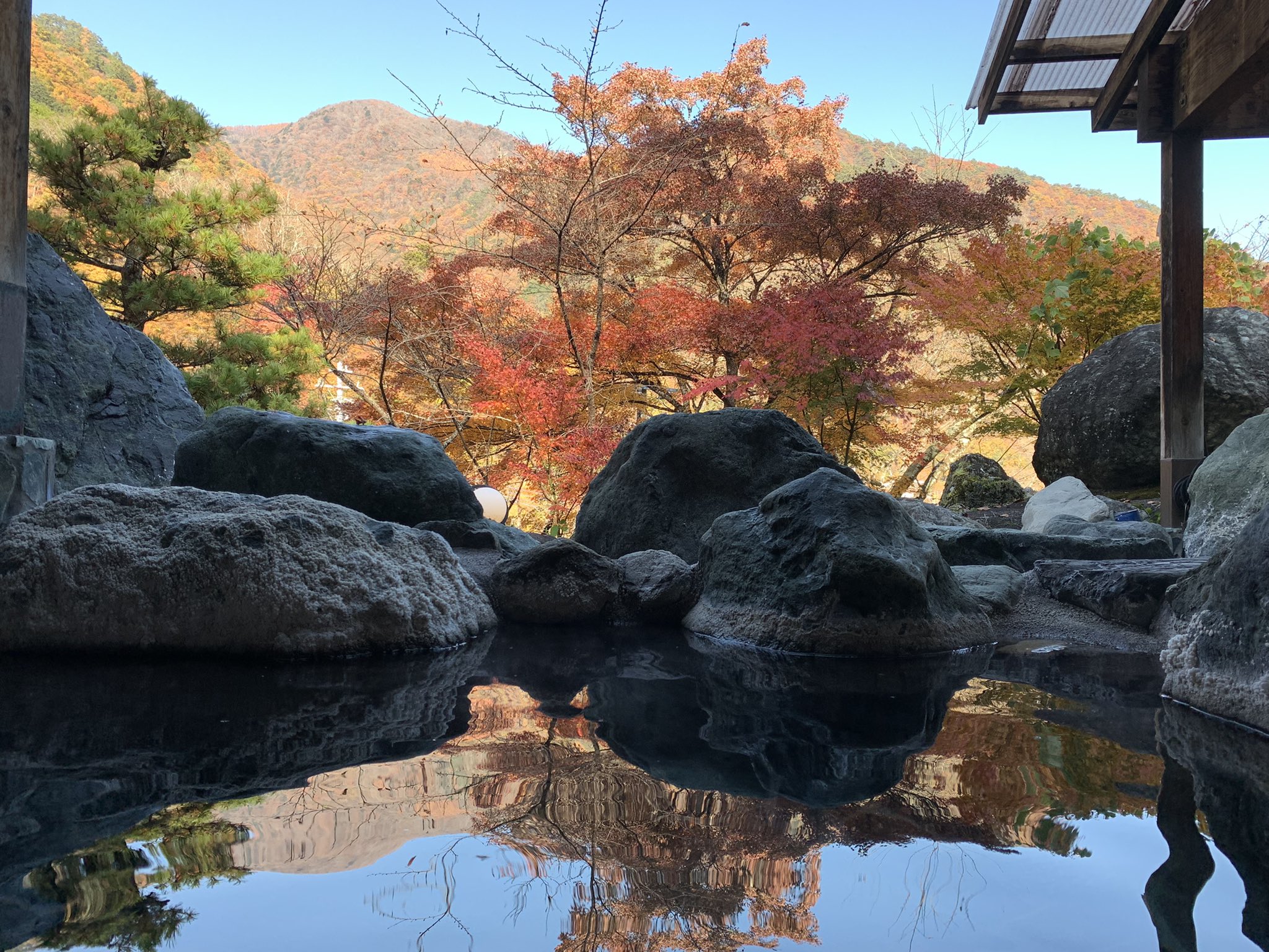 にっしー温泉 Onsen Kerorin Twitter