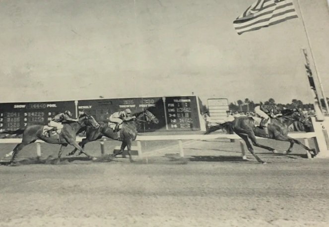 HORSERACING1002's tweet photo. CAT BRIDGE ๐บ๐ธ 1942
(CATALAN - LAST LIGHT BY LIGHT BRIGADE)#CatBridge
Stakes winner ๐ in USA ๐บ๐ธ. https://t.co/A3QjEnhYor