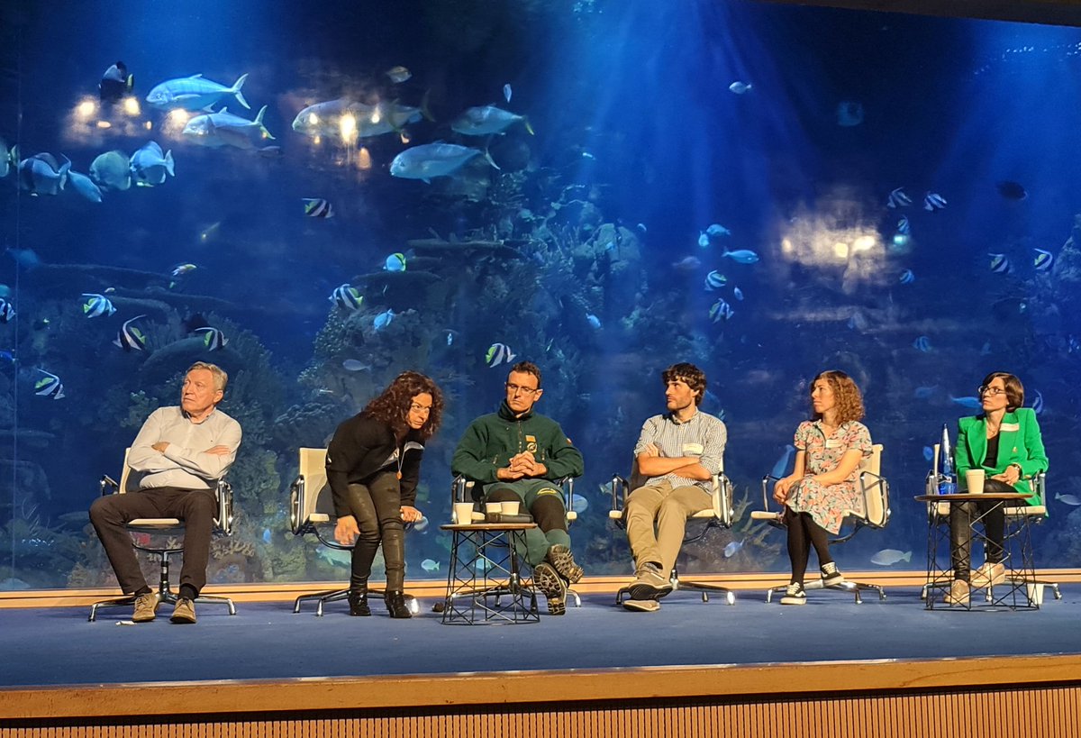 AlbertoMnndz's tweet photo. Andrea de @FAADAorg nos cuenta diferentes casos de cómo el turismo afecta negativamente a los animales en los viajes 🐘🐒🐯

#ValènciaEsAhora #klmhousevalencia https://t.co/kWbjYgRyMz