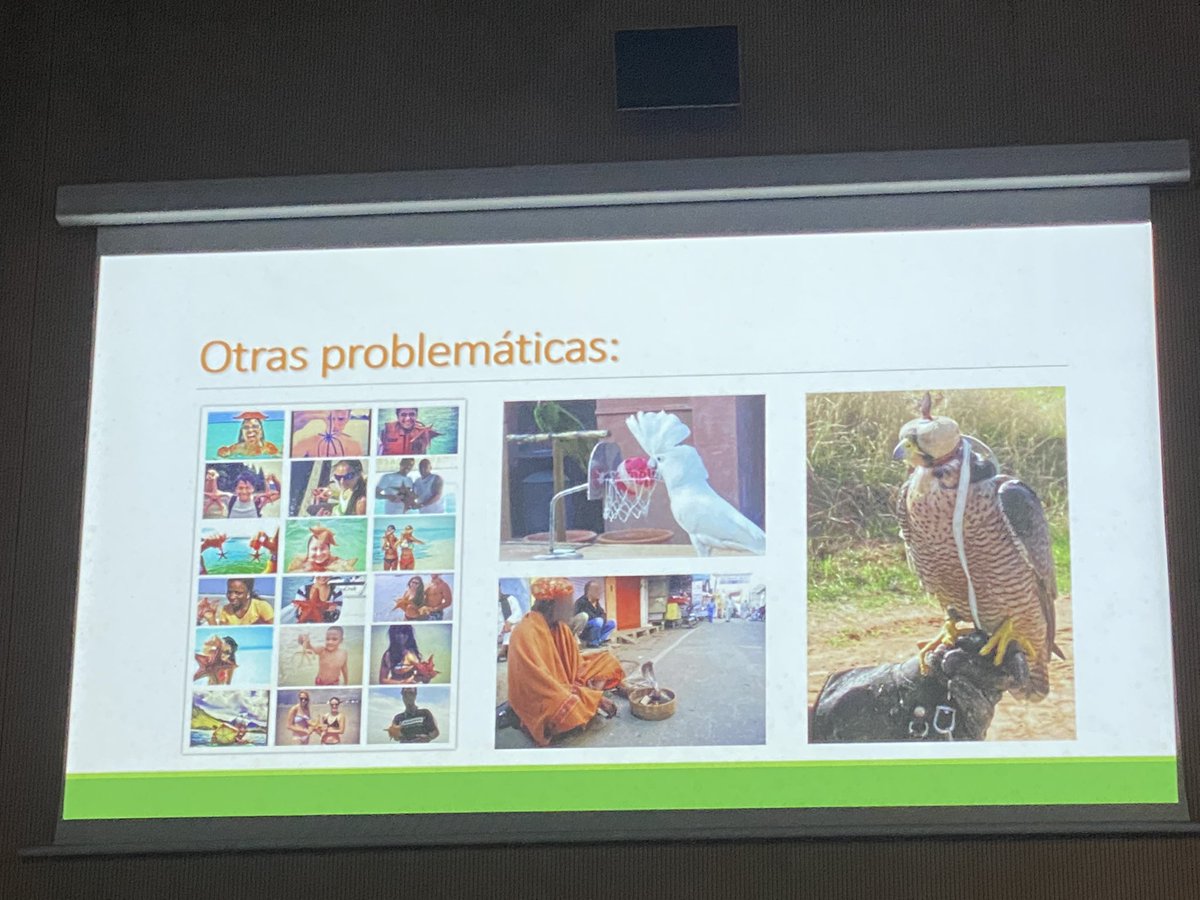 NaiaRaBotia's tweet photo. Cada años llegan 8000kg de plástico al mar y gran parte de ello acaba en el intestino de los animales. @travelleating #KLMHouseValència #ValènciaEsAhora #CompromisoIATI https://t.co/XrWjMxoM6y