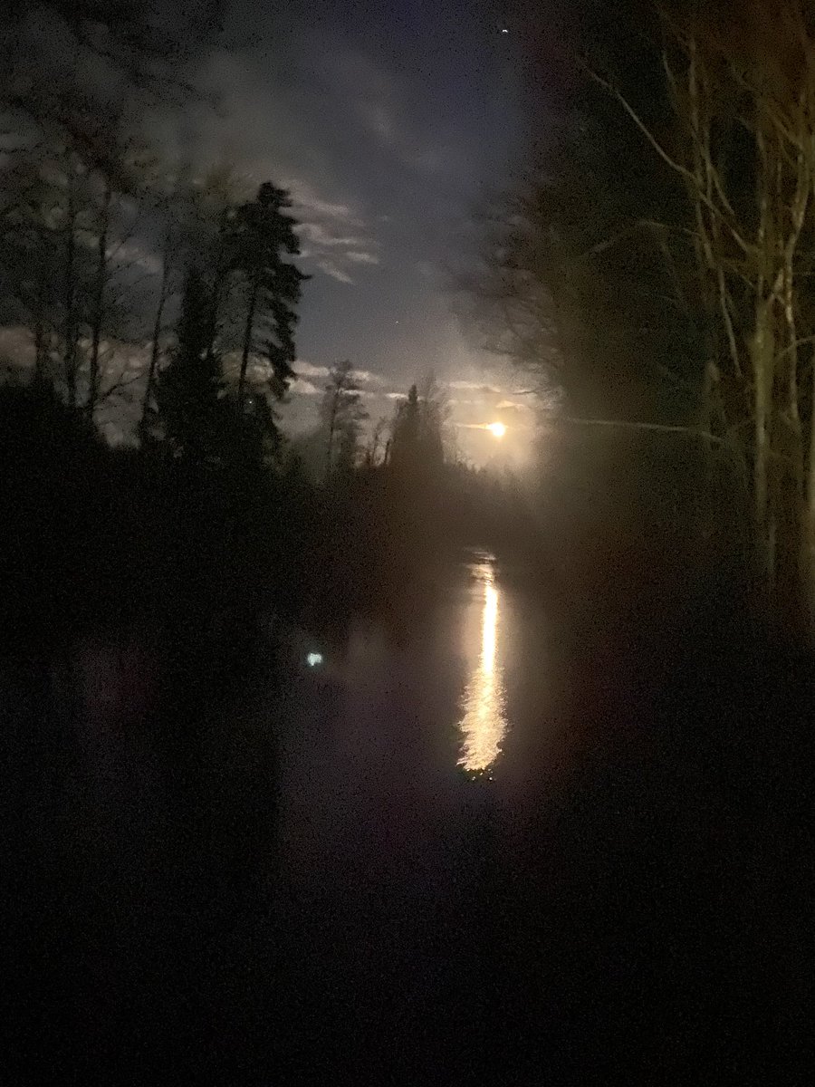 gebrelai's tweet photo. Epätodellista. #kuu #saavajoki #mökki #sauna https://t.co/1nRafYyqi4