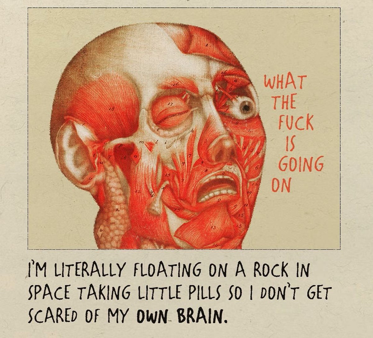 vintagefantasy (@vintagefantasy_) on Twitter photo 