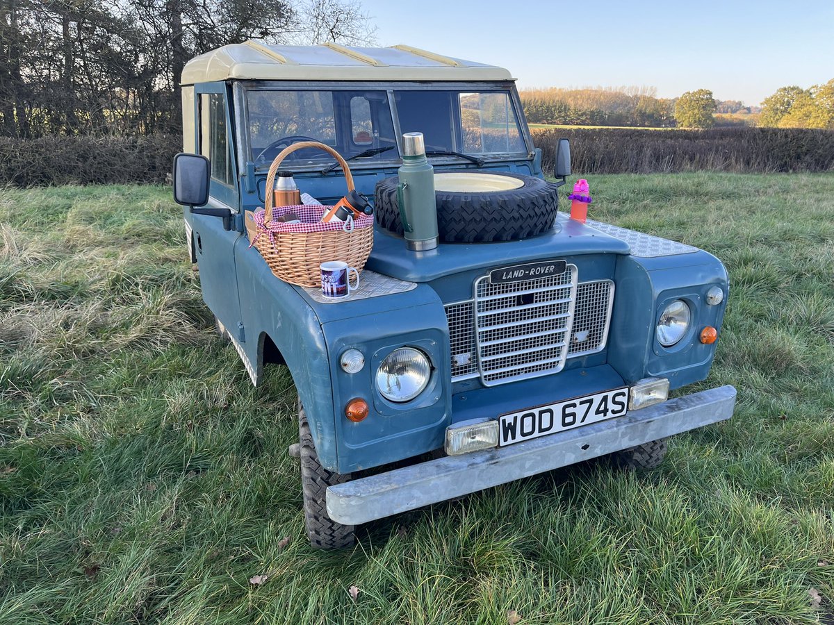 Dogs n Logs tweet media