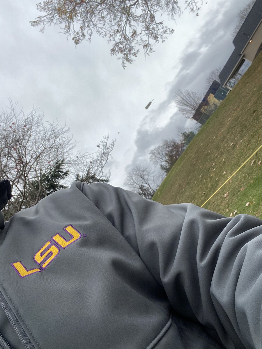 LSU1976er's tweet photo. GEAUX Tigers all the way from Ann Arbor! https://t.co/YqNheZh4P3