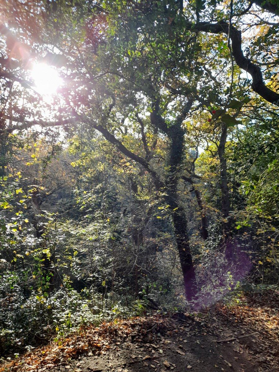Lovely morning for a walk across the common and through the park.