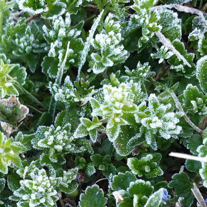 Heather Lily Kinsley’s pics and videos