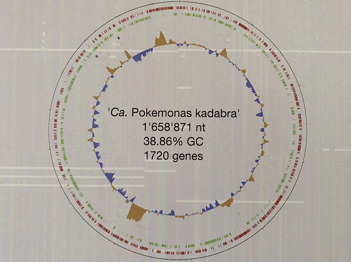 I‘m excited to have assembled my first-ever bacterial genome. ‘Ca. #Pokemonas kadabra’ belongs to the all intracellular order #Legionellales and lives inside of an #amoeba from the #Cercozoa.
Thanks <a href="/LionelGuy/">Lionel Guy</a> for the printout and a good time in your lab!