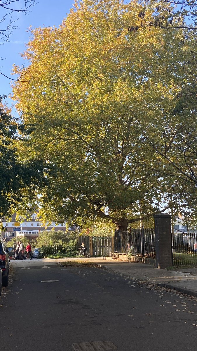 Fuzzboy_'s tweet image. London I am inside you