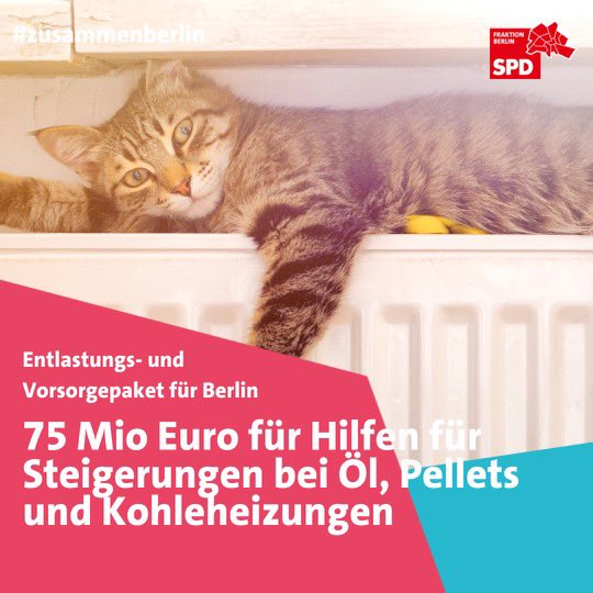 spdfraktionbln's tweet photo. https://t.co/eNFXnFGLuf