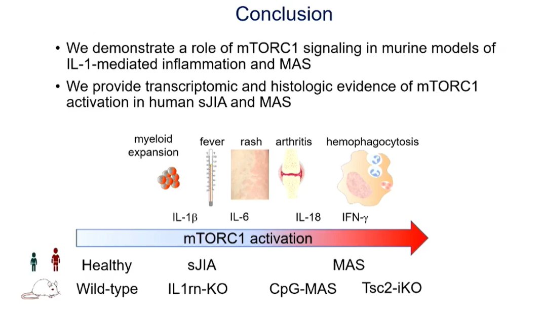 Why are #sJIA pts prone to #MAS? 
Potential new treatment target mTORC1?
mTORC1 gene signature in monocytes 
Mice models and human translational studies with evidence
#ACRBest #ACR22 @rheumnow abst#0004 #stillsdisease #autoinflammatorydisease