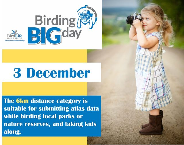 Birding Big Day, on 3 December this year, is South Africa's biggest annual birding event. There are details at birdlife.org.za/support-us/eve… <a href="/BirdLife_SA/">BirdLife South Africa 🇿🇦</a>