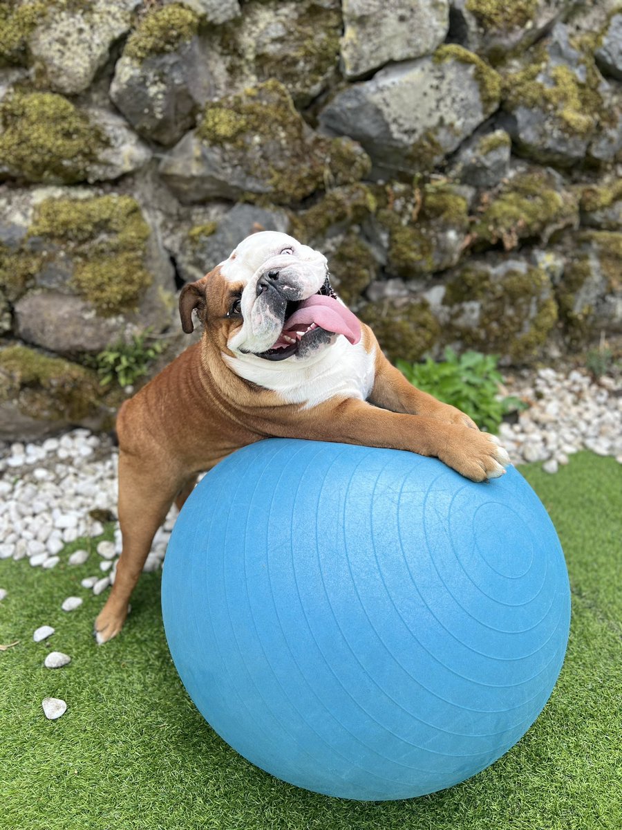 Emy 🦋 tweet media