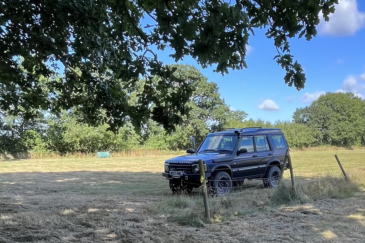 Tom Orchard tweet media