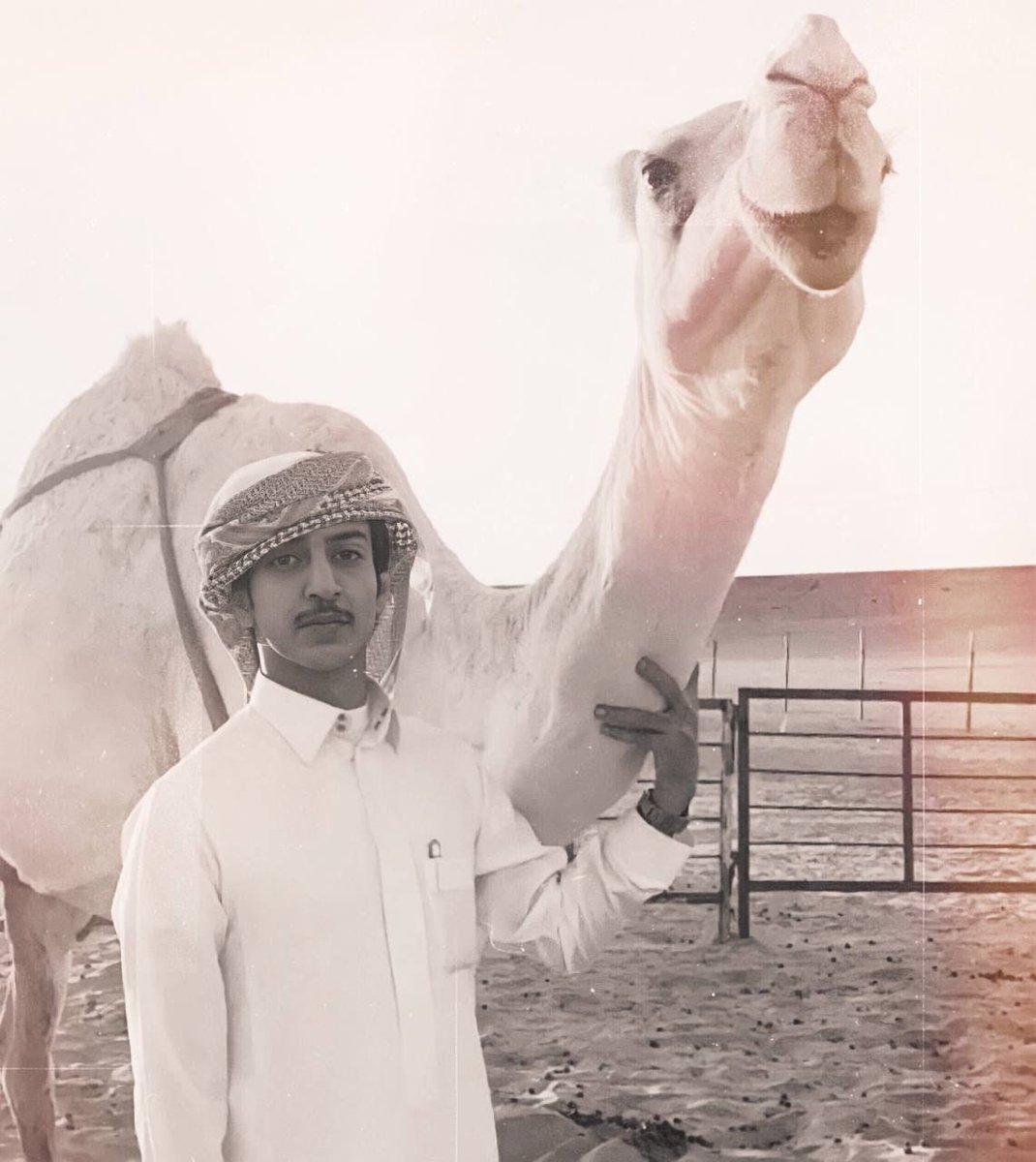 i689l's tweet photo. -
قلبي من أسباب حب الذود ميالي
ونفسي ع حبها محد"ن" بلايمها
البل لها في صميم الجوف منزالي
من دونها عزوتي طارت عمايمها 

#نواف_عقاب https://t.co/bchxoM0WtU